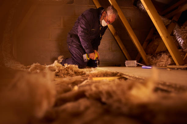 Best Cellulose Insulation in Crossville, AL